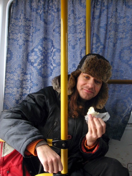 Полярний птах