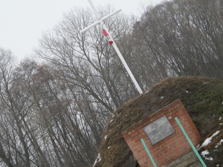 Похід на Крути